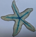 Krepp-Seestern weiss-blau